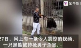 爆料缅甸很火的视频大全,揭秘当地风土人情与热门话题